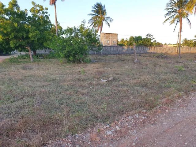 Vendo Terreno Beira do Rio - Foto 4