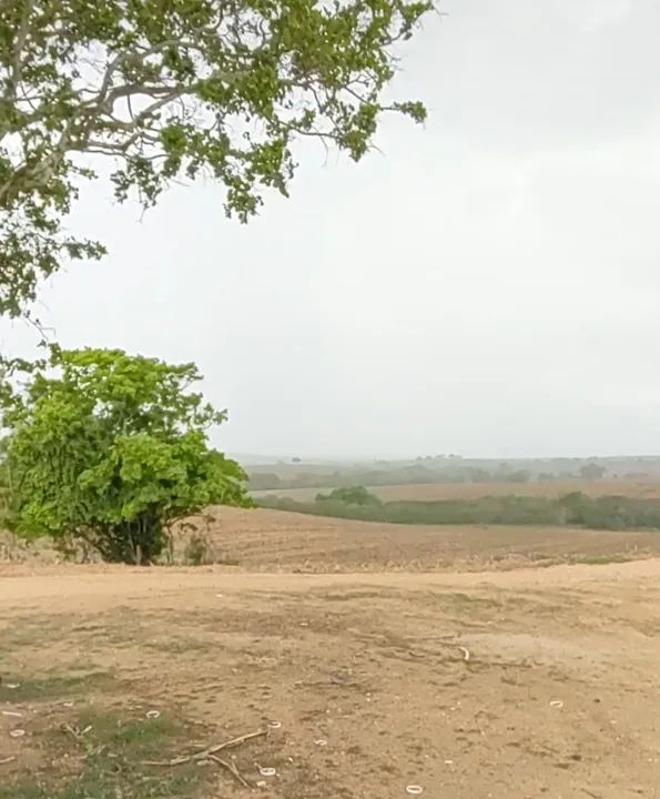 FAZENDA À VENDA (2.900 tarefas) - Foto 3