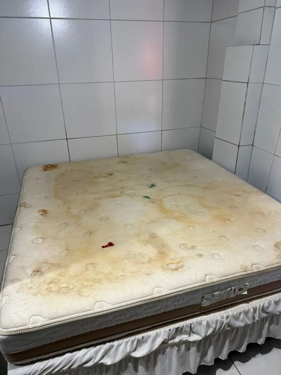 Higienização e limpeza a seco