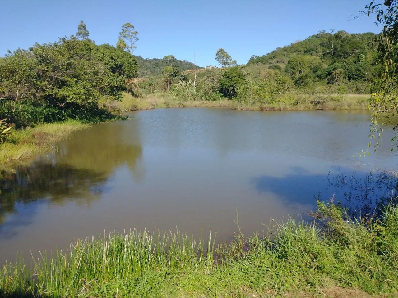 Fazendinha 15 Alqueires Cariacica  - Foto 7