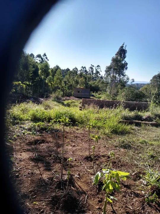 Sítio em Taquara  - Foto 5