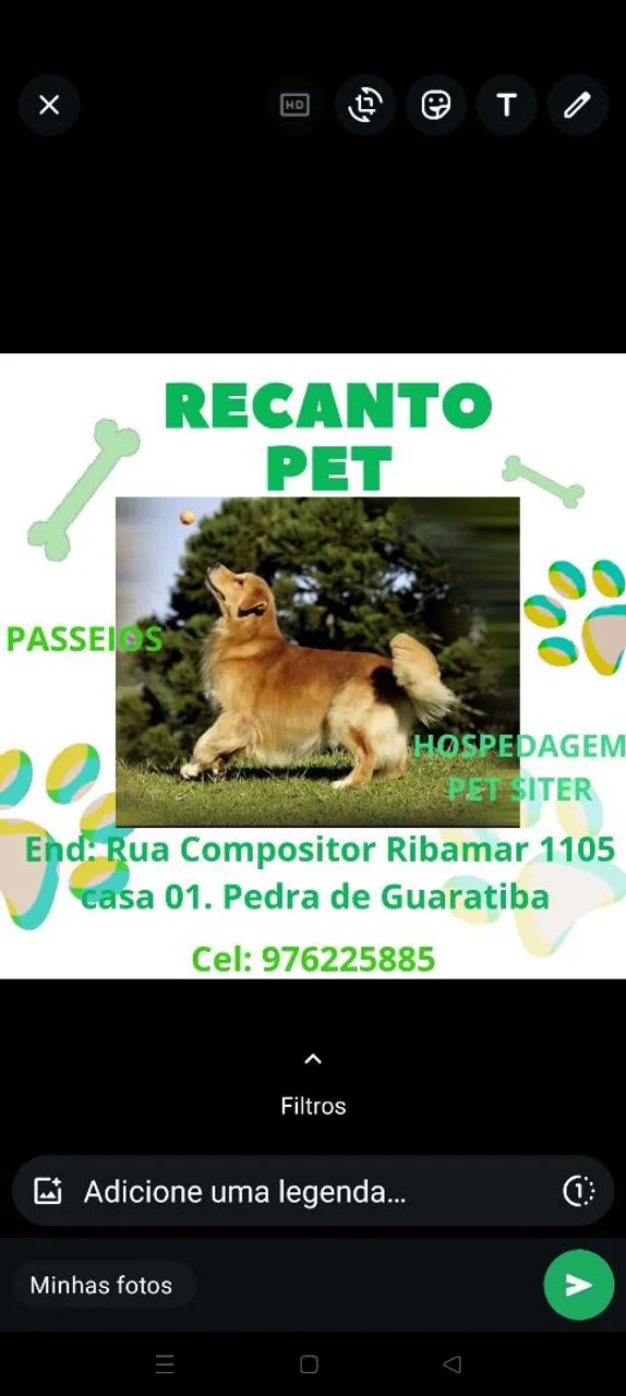 Hotel para cães. Hospedagem familiar 