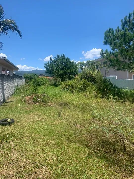 Vendo Terreno pinheira - Foto 4