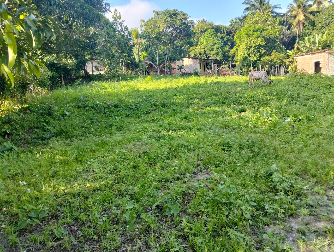Vende-se um sítio em Jaguaribe Abreu e lima
