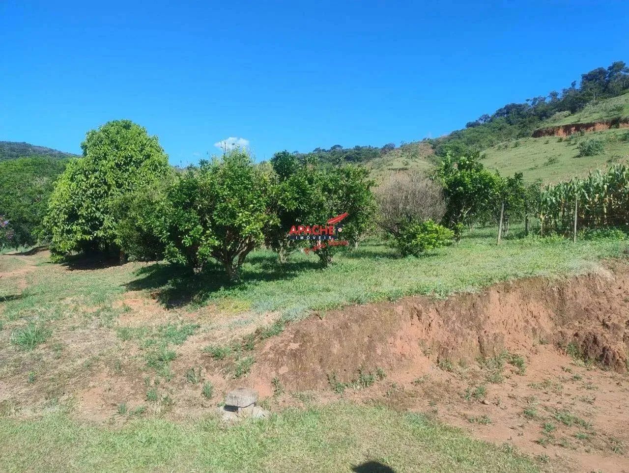 Sítio à venda, Guaraciaba - Guaraciaba/MG - Foto 5