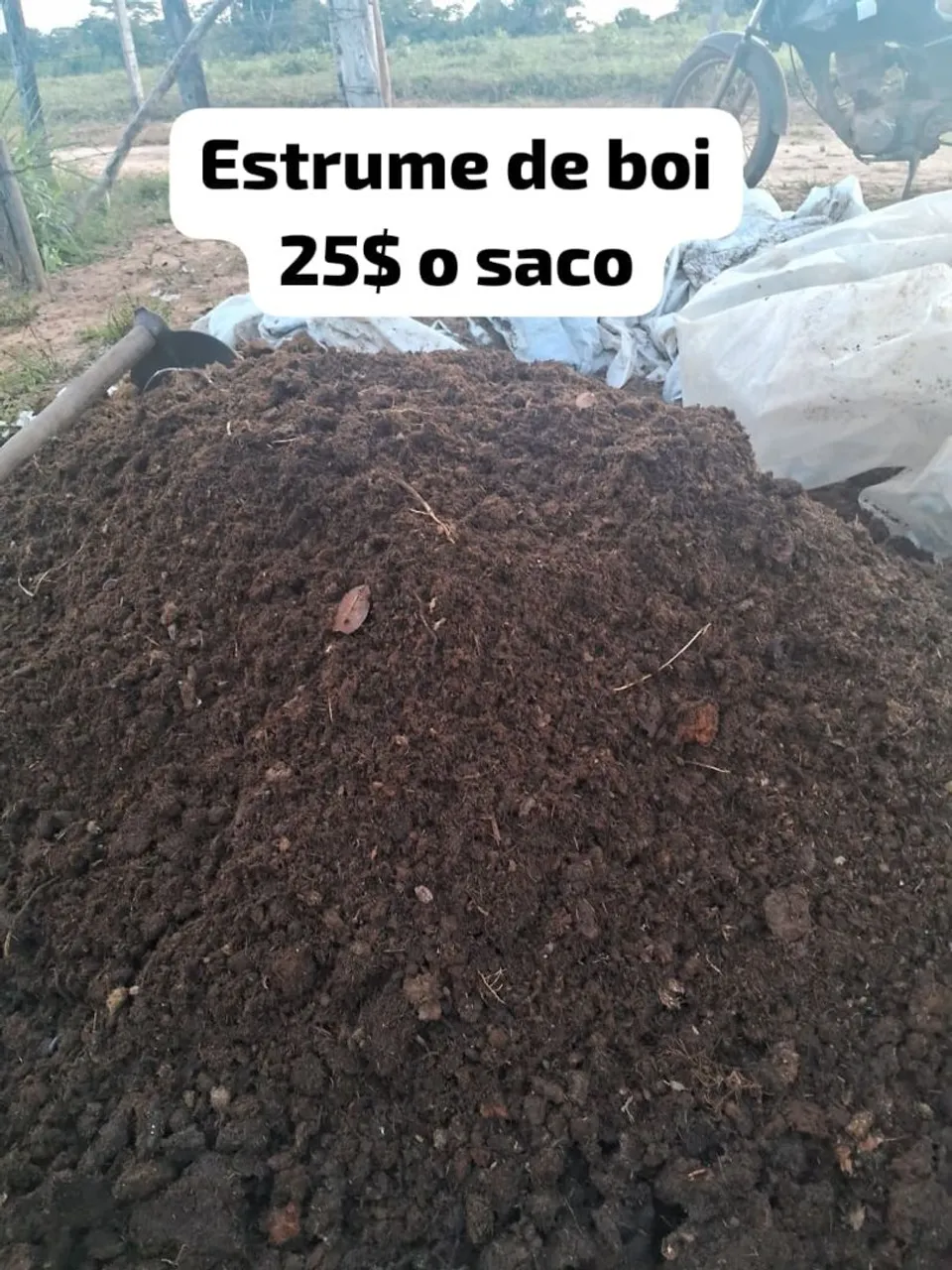 Estrume de boi e de palheira