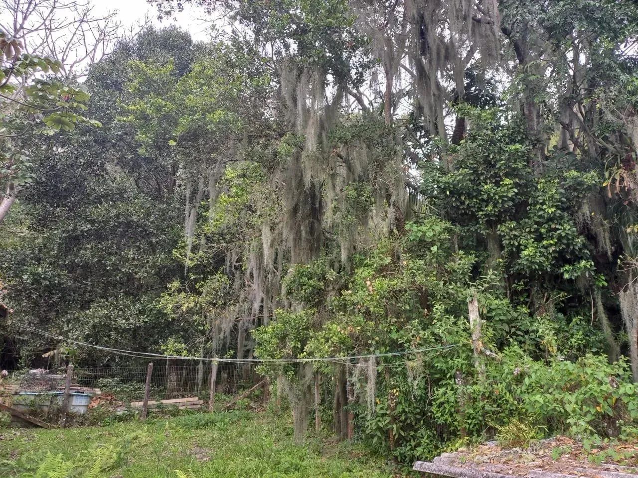 TERRENO EM CONDOMÍNIO NA CACHOEIRA - Foto 4