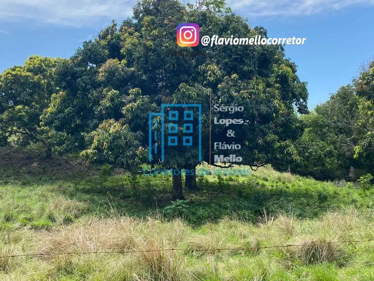 Área 25,000m² em Itaboraí !! para montar seu sitio  Cod(115IV) - Foto 13