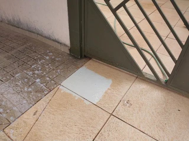 Limpa Pisos na hora Ação Instantânea 