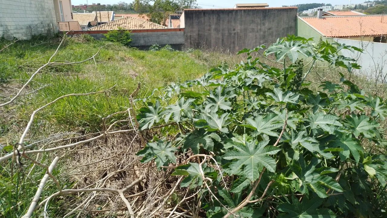 Foto - Jundiaí - Mirante de Jundiaí