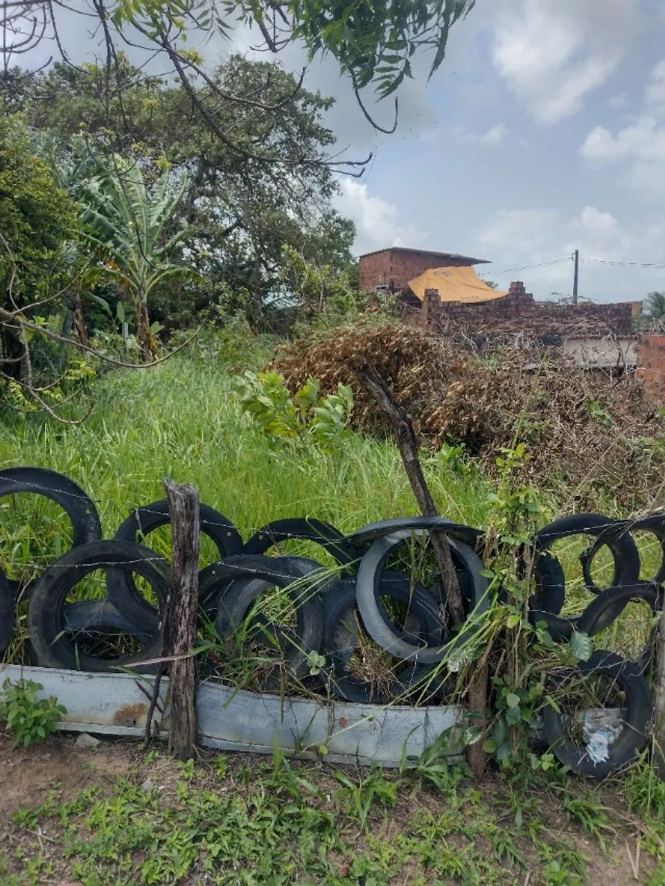 Foto - Paulista - Nobre