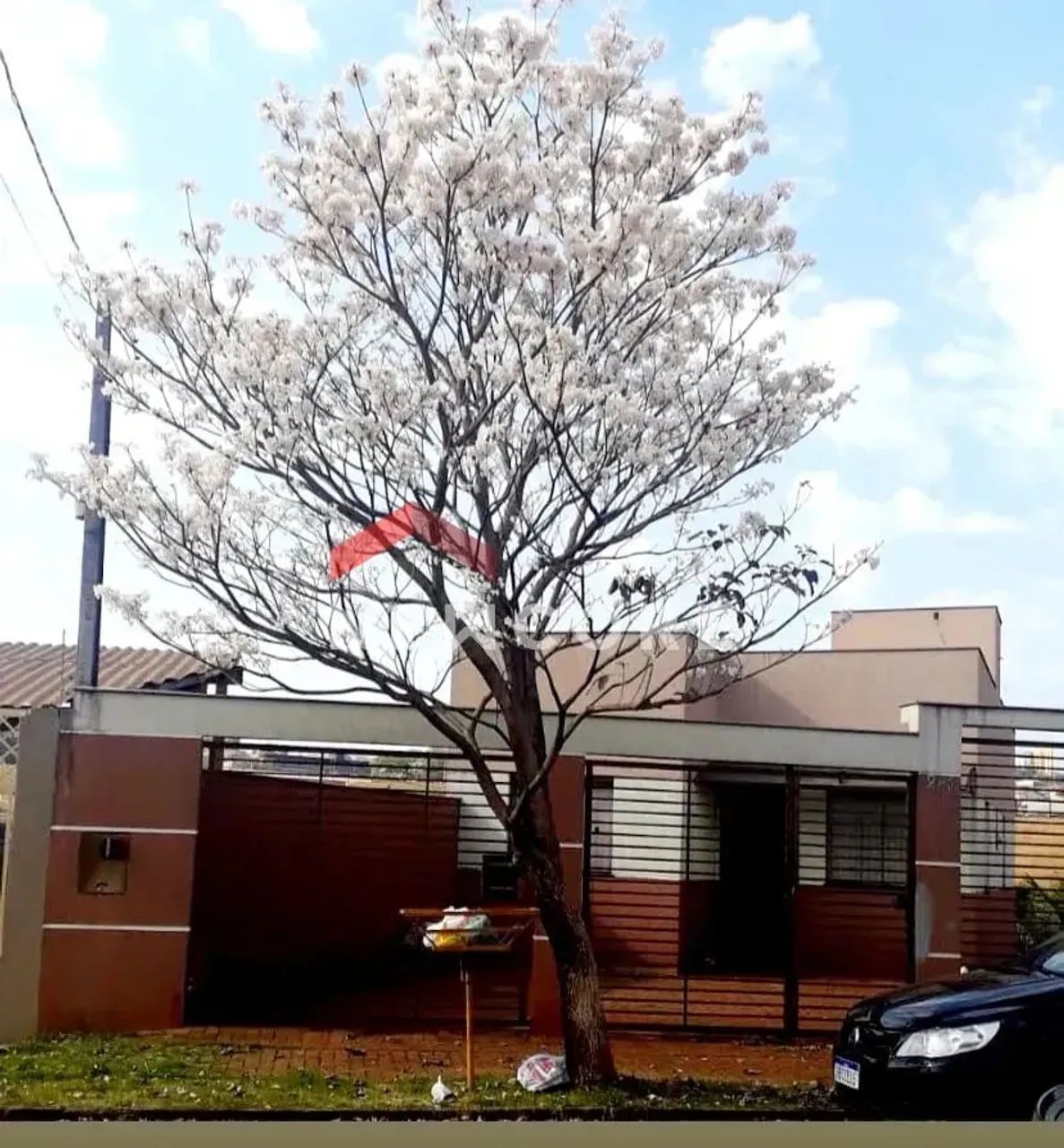 Casa em Rua Antônio Baldan - Andes - Londrina/PR