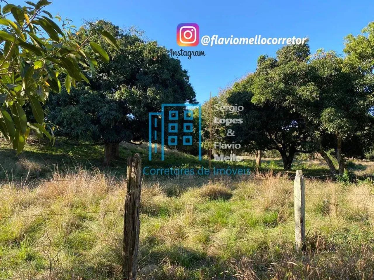 Área 25,000m² em Itaboraí !! para montar seu sitio  Cod(115IV) - Foto 4