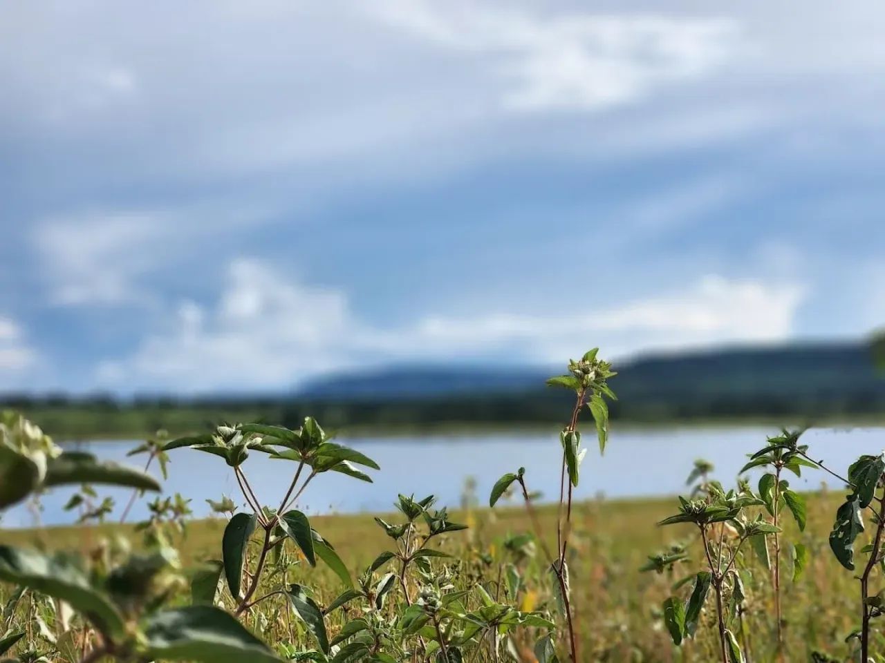 Terreno à venda, agua fria, Chapada dos Guimarães, MT - Foto 3