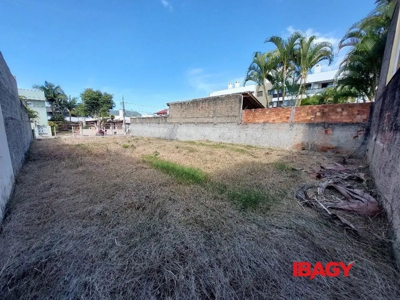 Oportunidade! Terreno em Cachoeira do Bom Jesus - Florianópolis - Foto 4