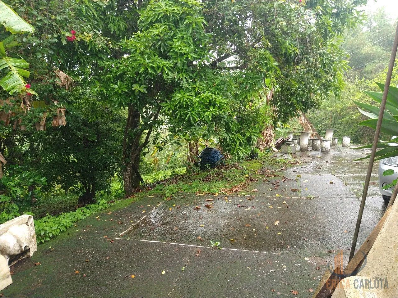 Sitio a venda, Cidade Lamim - MG - Foto 5