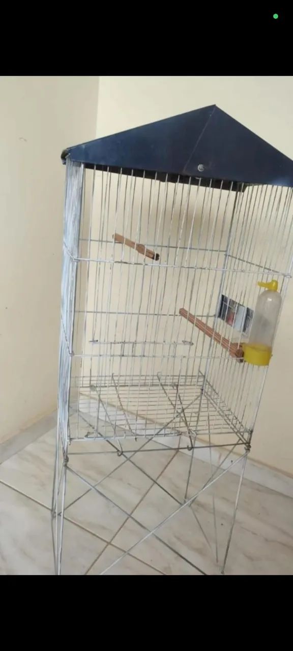 Aviary