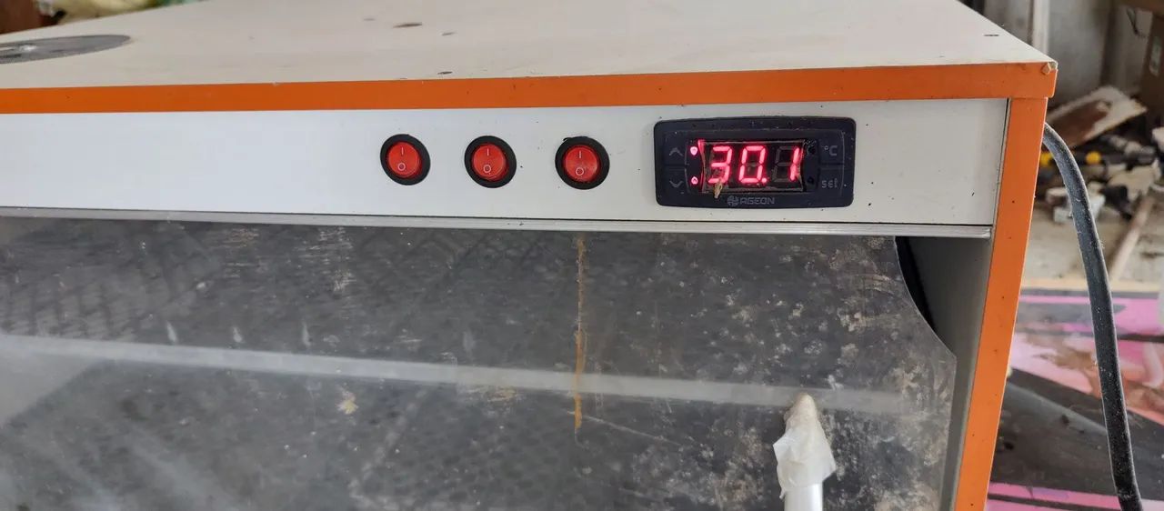Incubadora 2 Bandejas (Ovos) PRA VENDER RÁPIDO - Foto 4