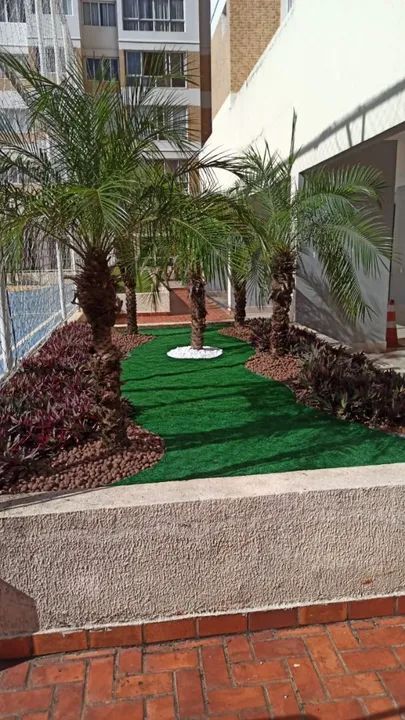 Jardinagem  - Foto 5
