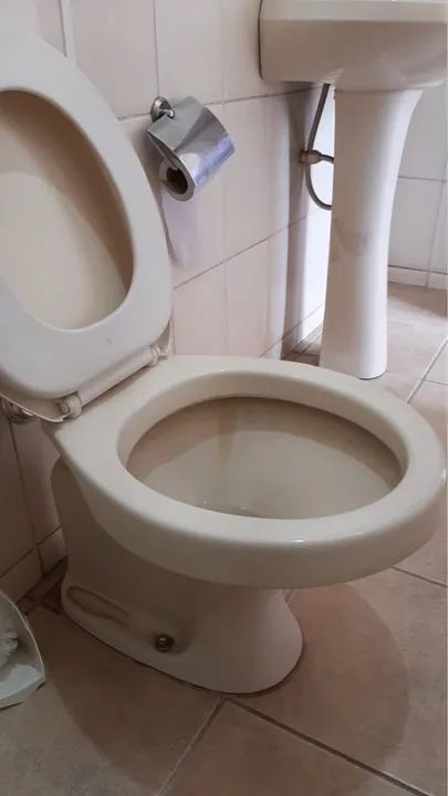 Vaso sanitário e pia bege em ótimo estado - Foto 2