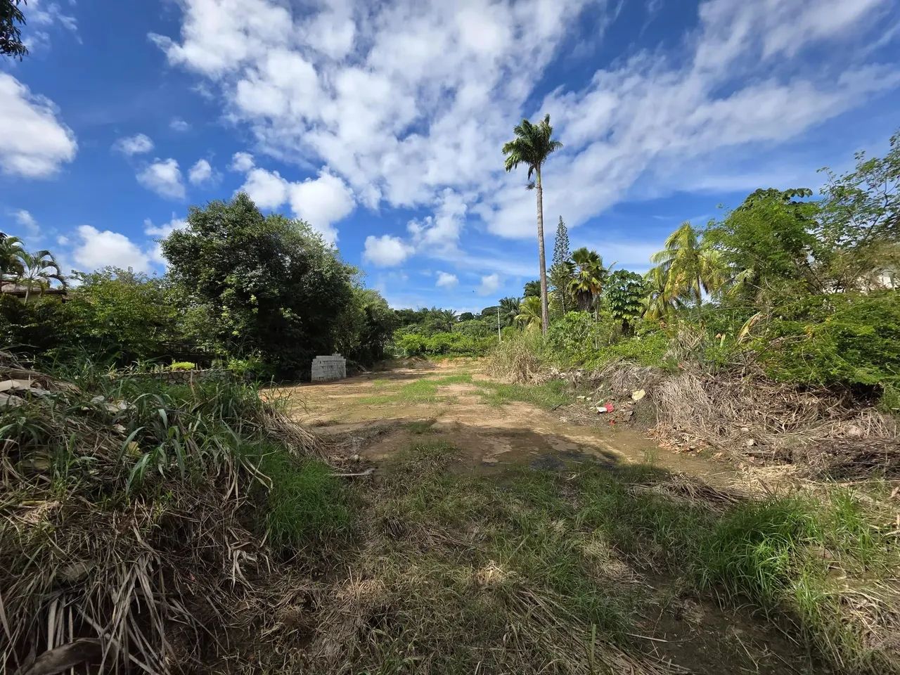 Terreno em Lauro De Freitas Bahia - Foto 13