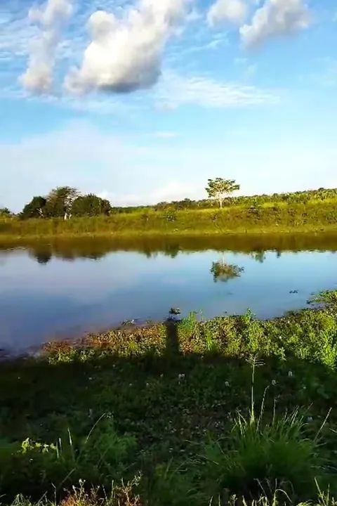 Fazenda à venda porteira fechada, Estado Maranhão, São Luís MA - Foto 5