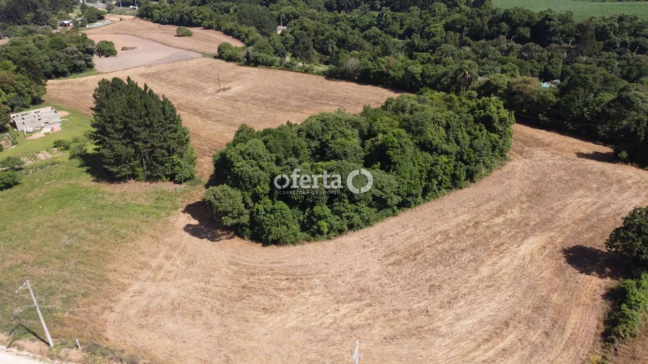 Terreno em Araucária - Foto 3