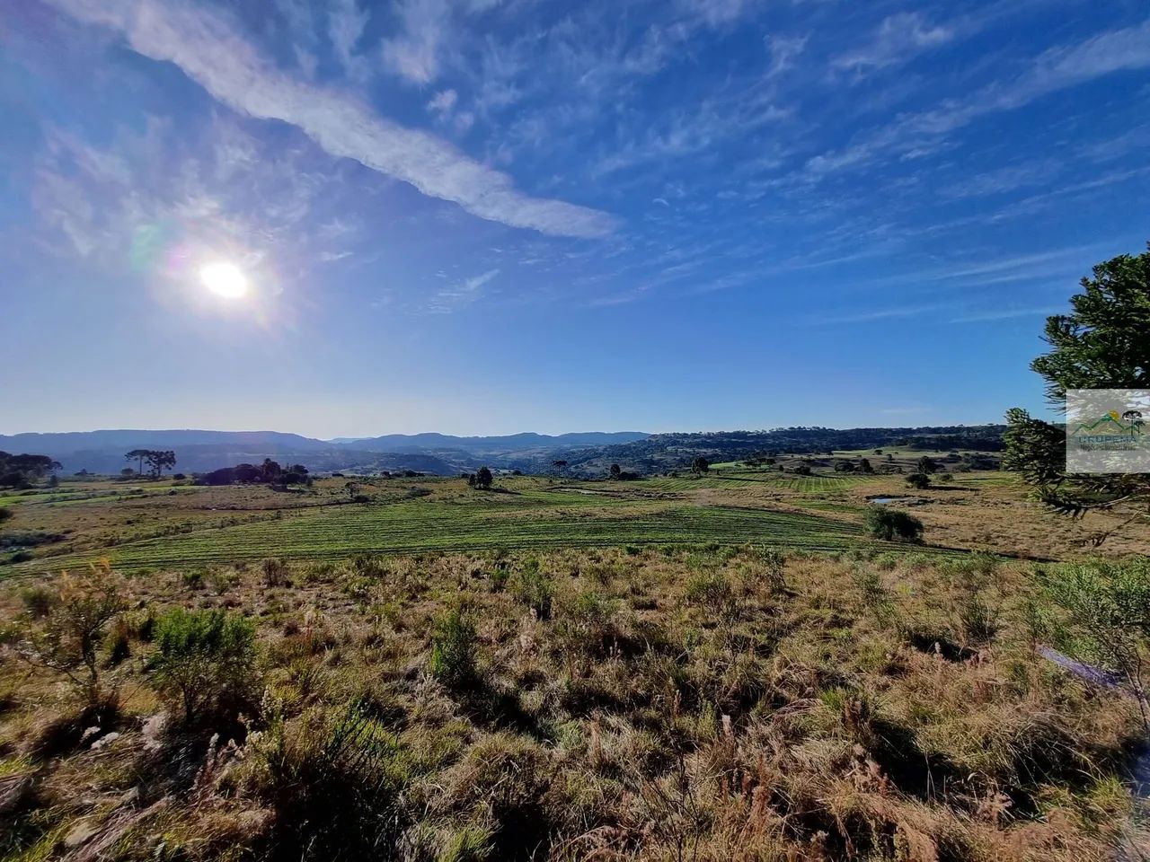 Área à venda em Urupema/SC - Foto 5
