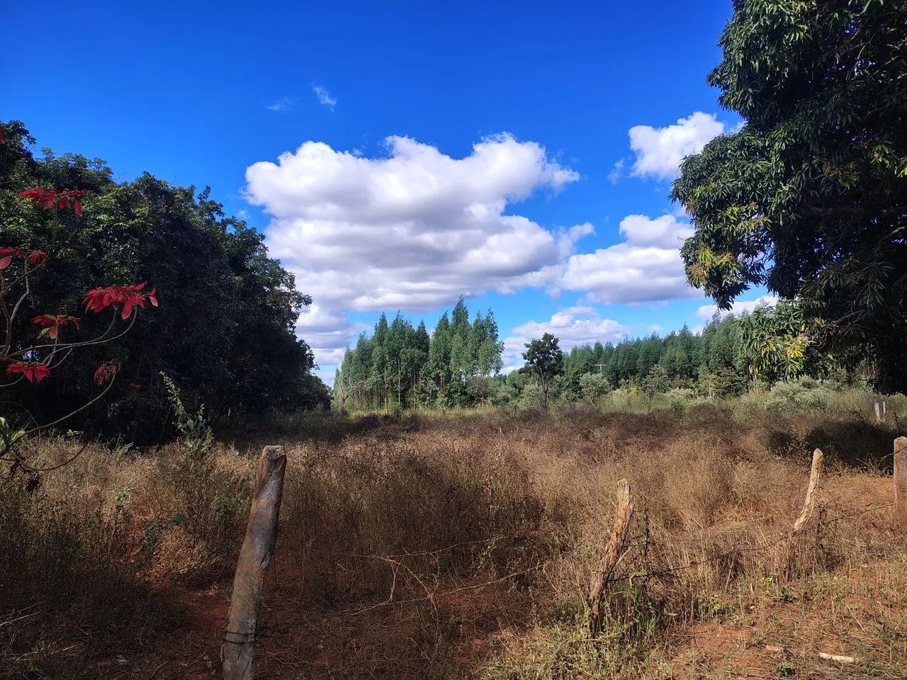 Oportunidade  - Foto 4