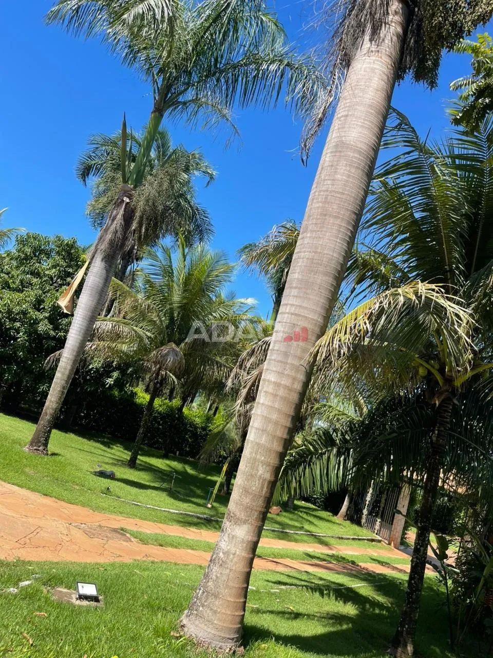 CONDOMÍNIO DE CHÁCARAS EM NOVA VENEZA - Foto 3
