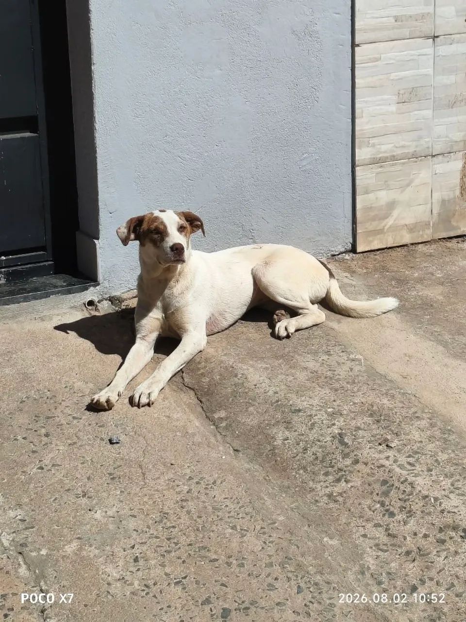 Doação consciente  - Foto 2