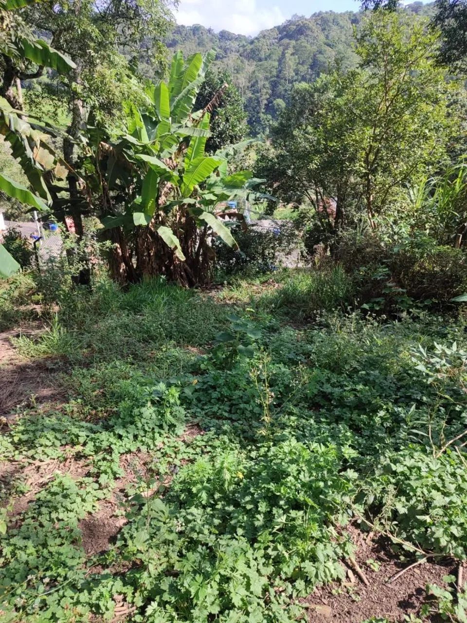 Terreno no vila morais - Foto 4