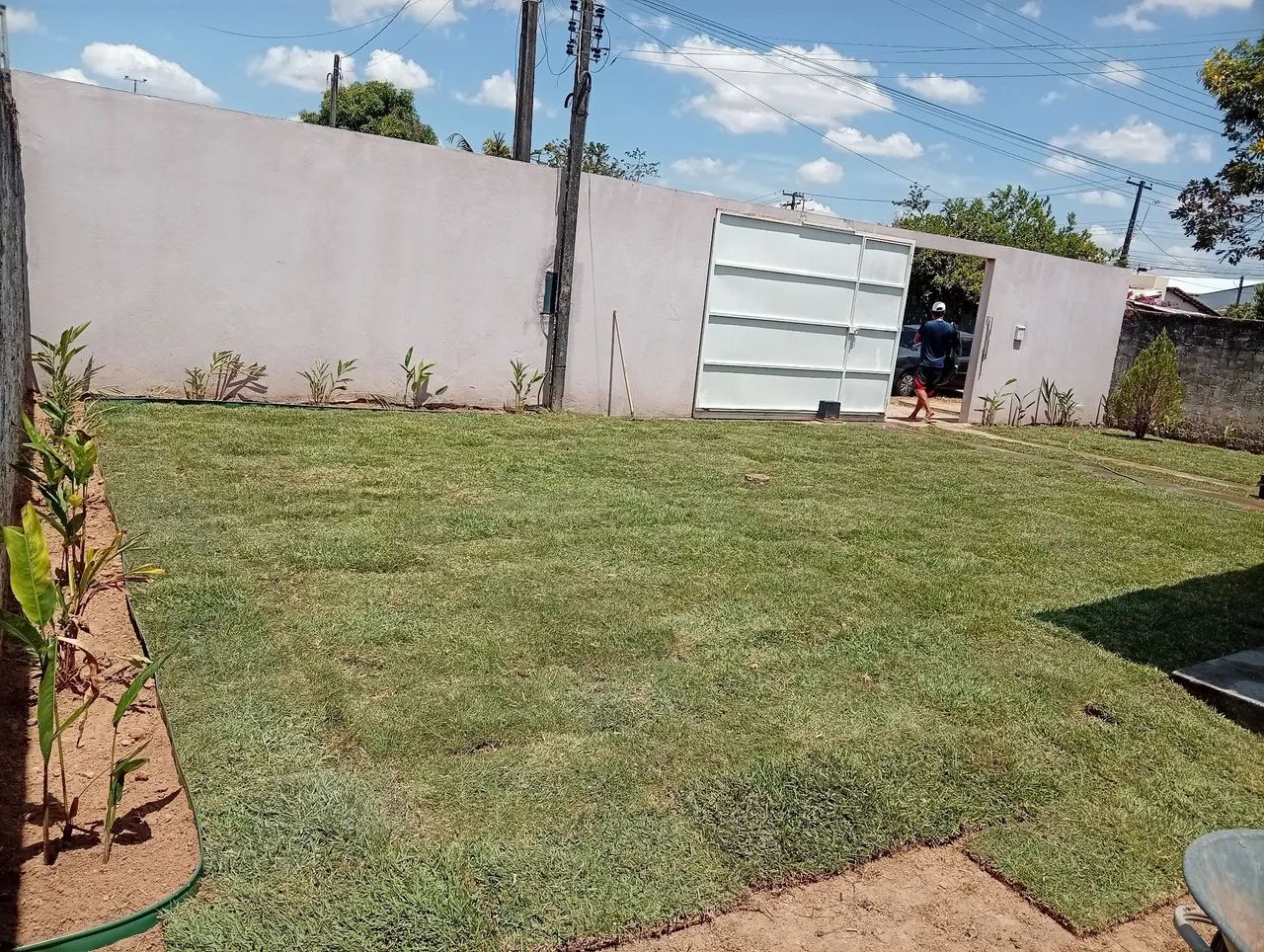 Grama e Jardinagem 