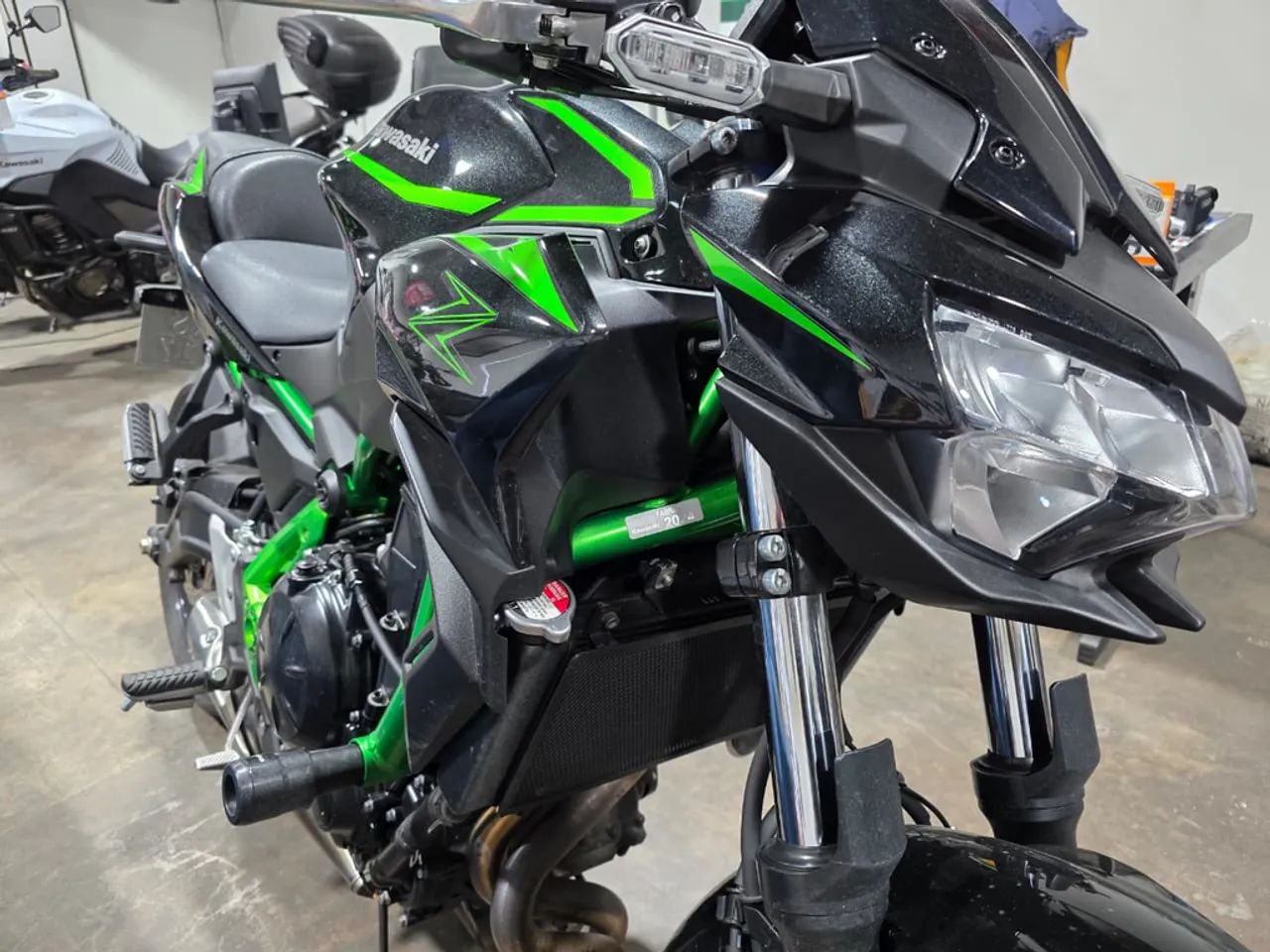 シロマダラ標本　【即購入OK】 Kawasaki 650 2025 - 1503715111 | OLX