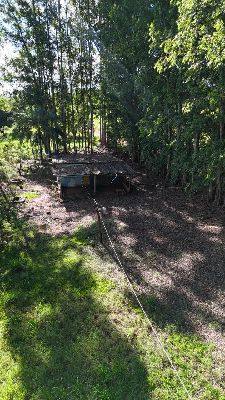 Chácara de 07 Hectares Próxima a Campo Grande!  - Foto 4