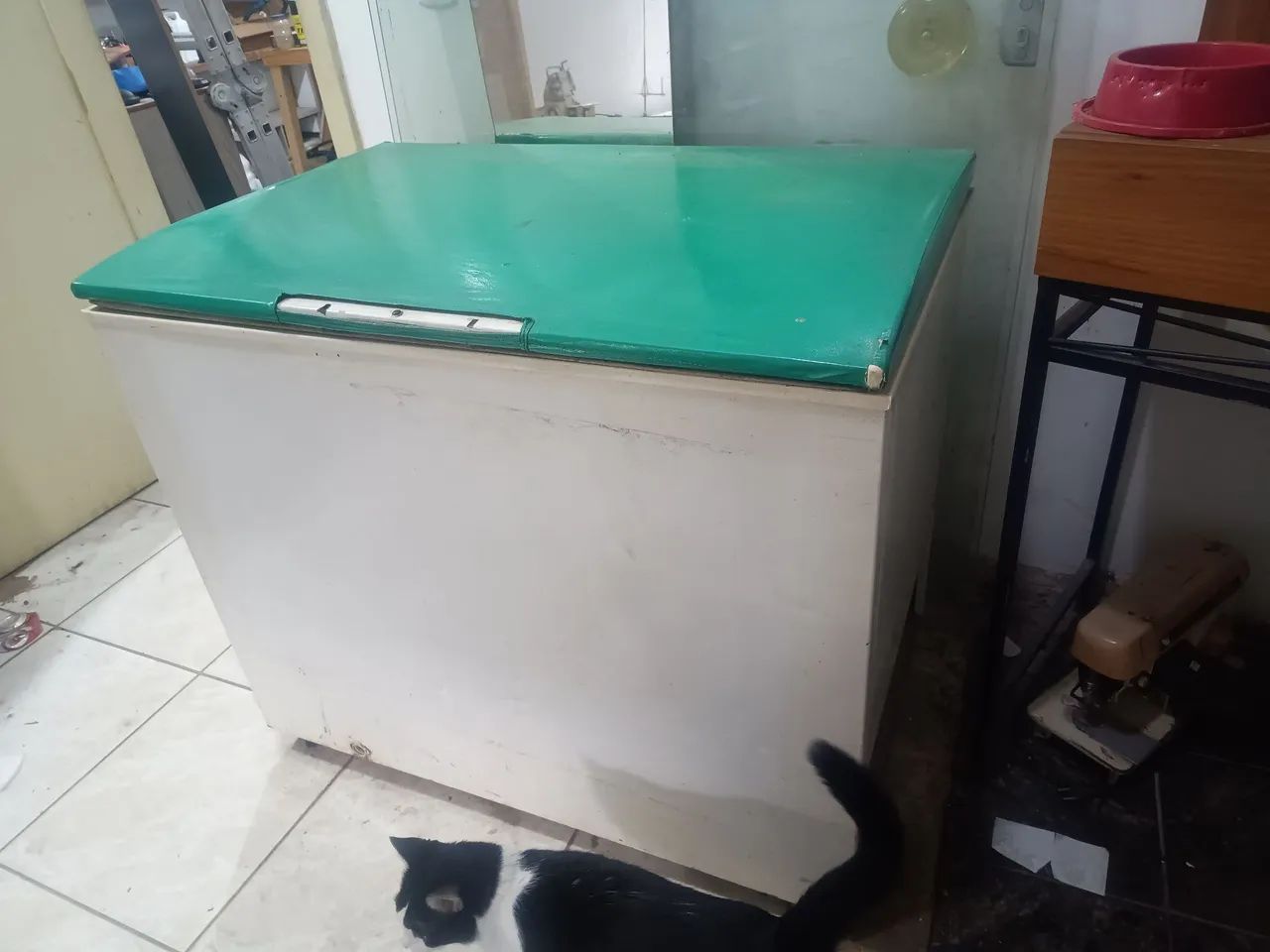 Freezer vertical 