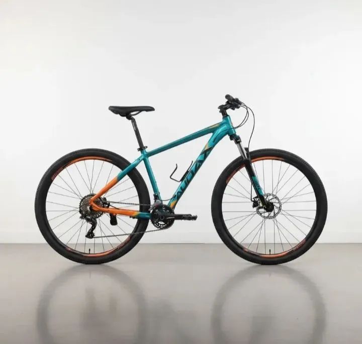 Bicicleta Audax adx 200 Tam 17
