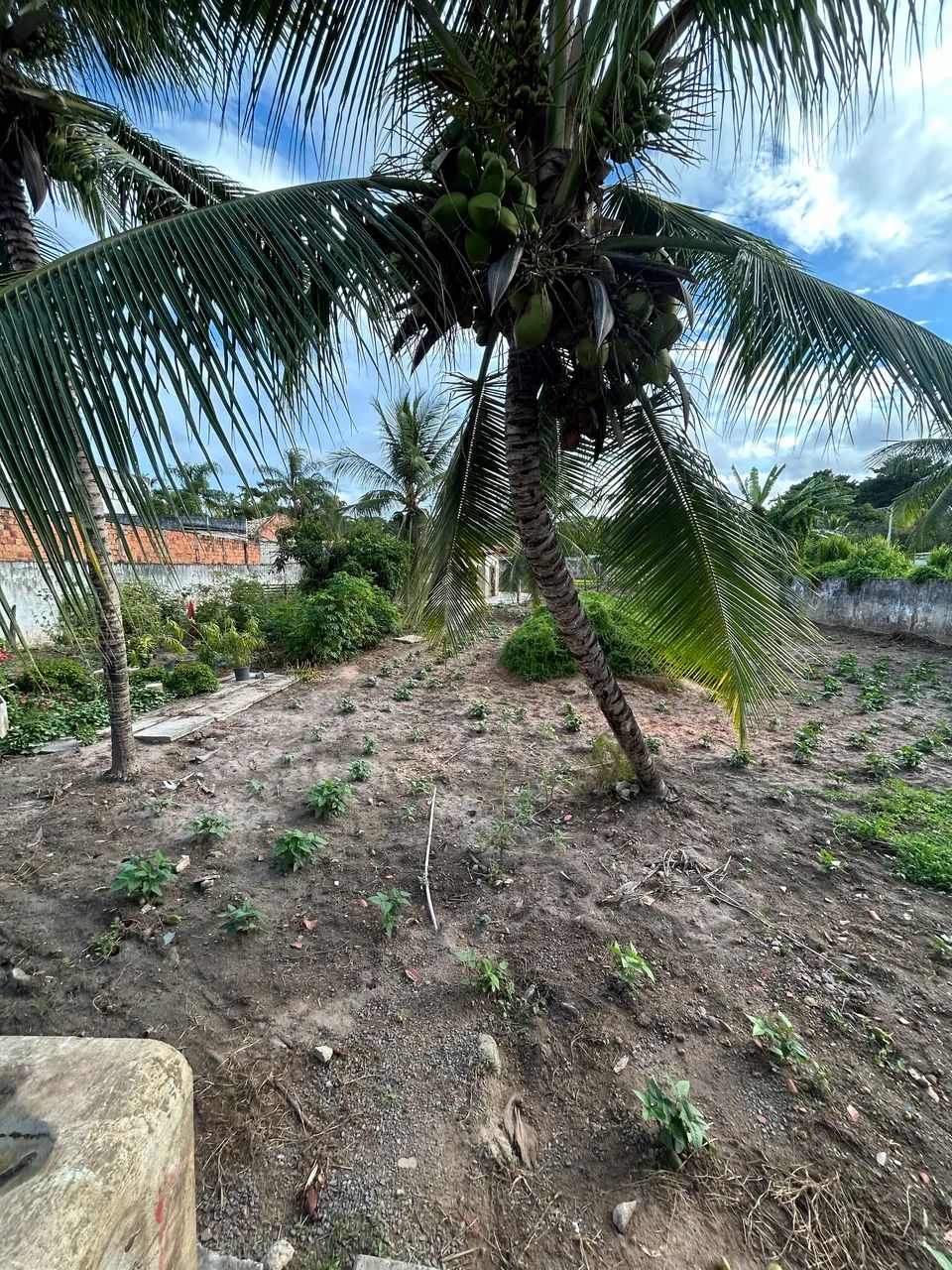 TERRENO 2160m2 ABRANTES  - Foto 3