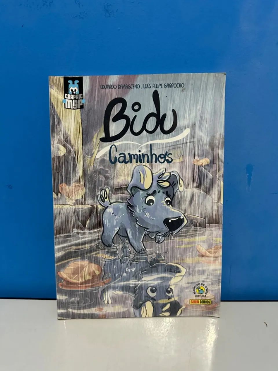 HQ Bidu Caminhos