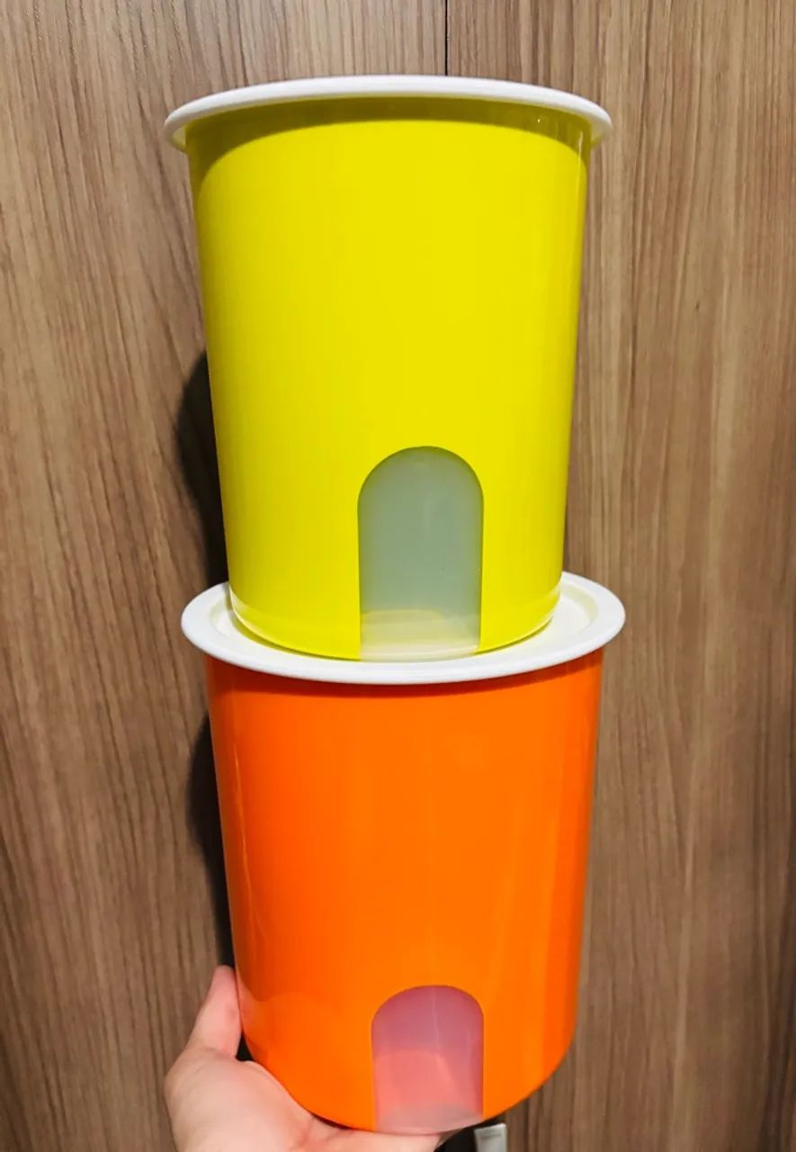 Kit 2 instantâneas Tupperware 