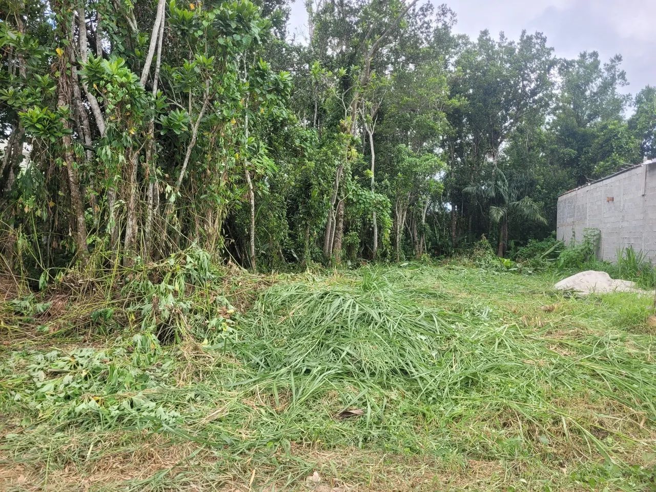Terreno a 600 metros da paia 
