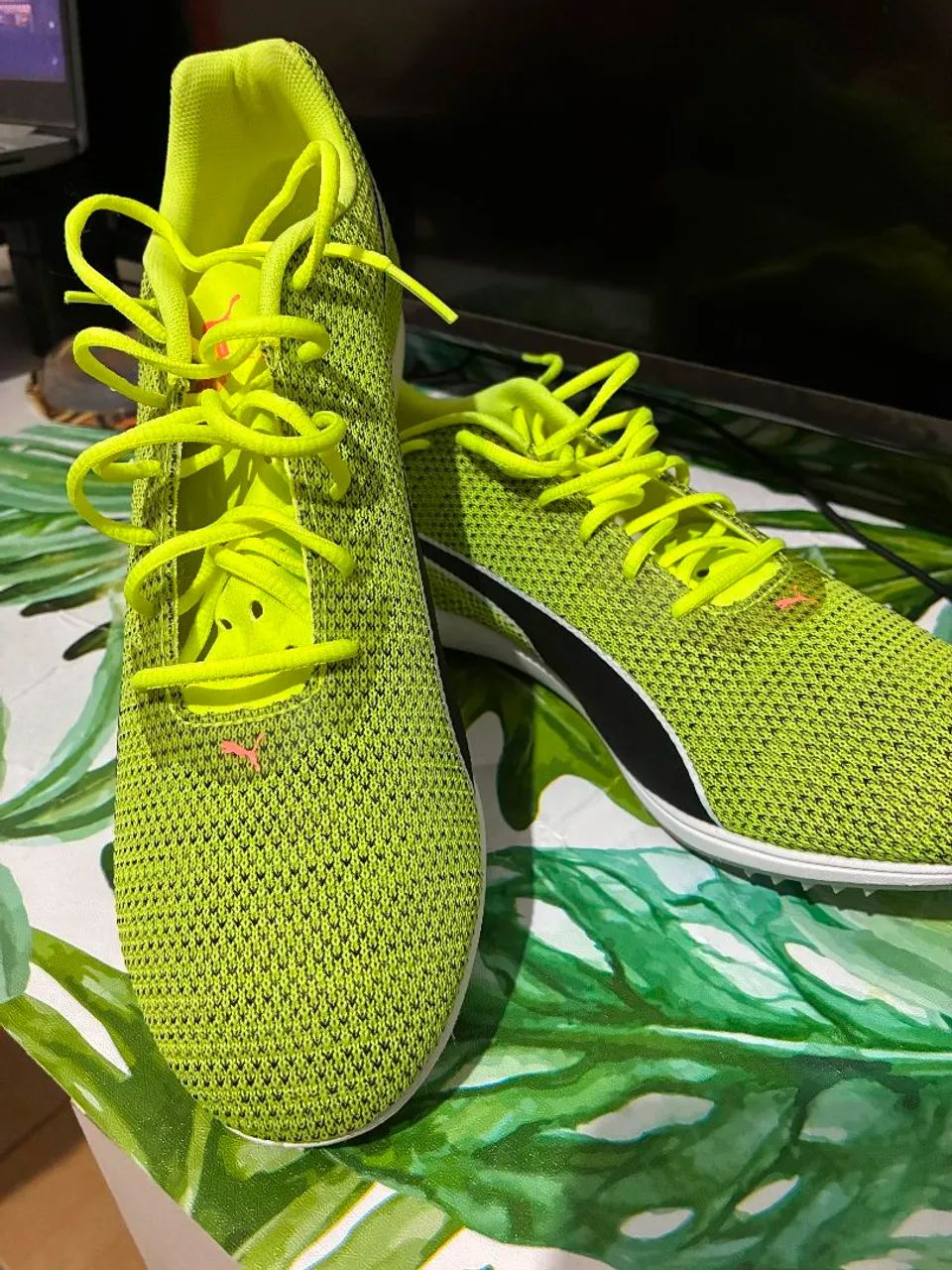 PUMA evoSPEED Distance 8