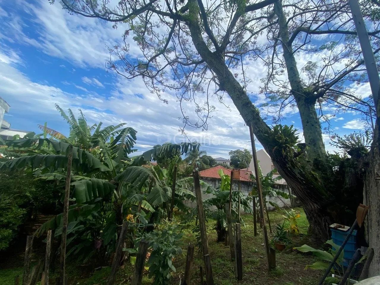 Terreno de 329m² no bairro Bom Abrigo - Foto 3
