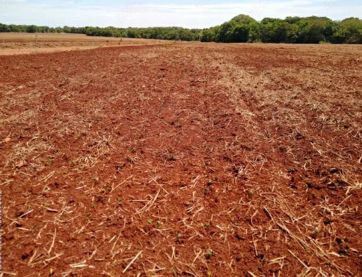 Chácara, Sítio $35mil em Sidrolândia.  - Foto 3
