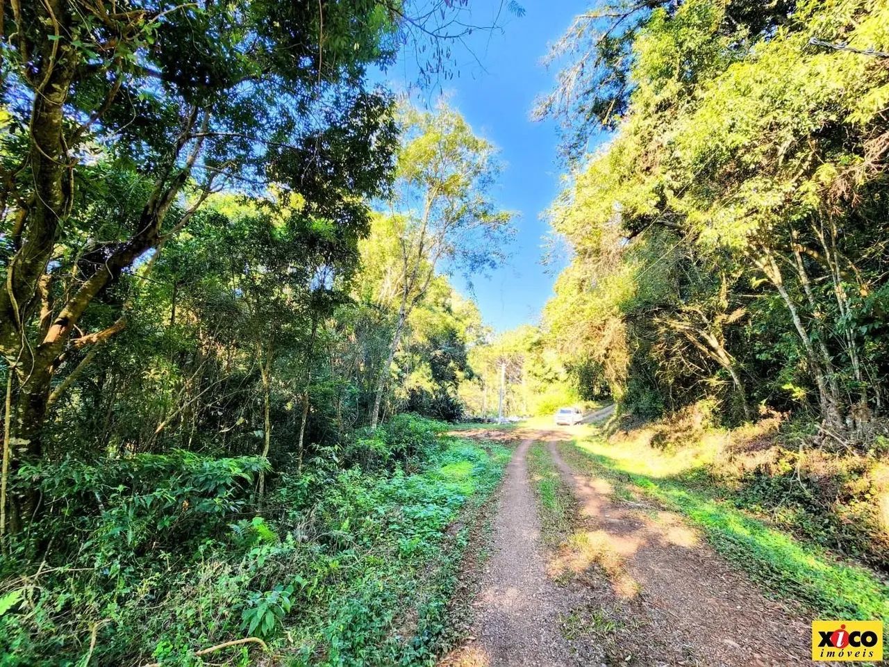 Sítio / Chácara para Venda em Nova Petrópolis, Linha Riachuelo - Foto 3