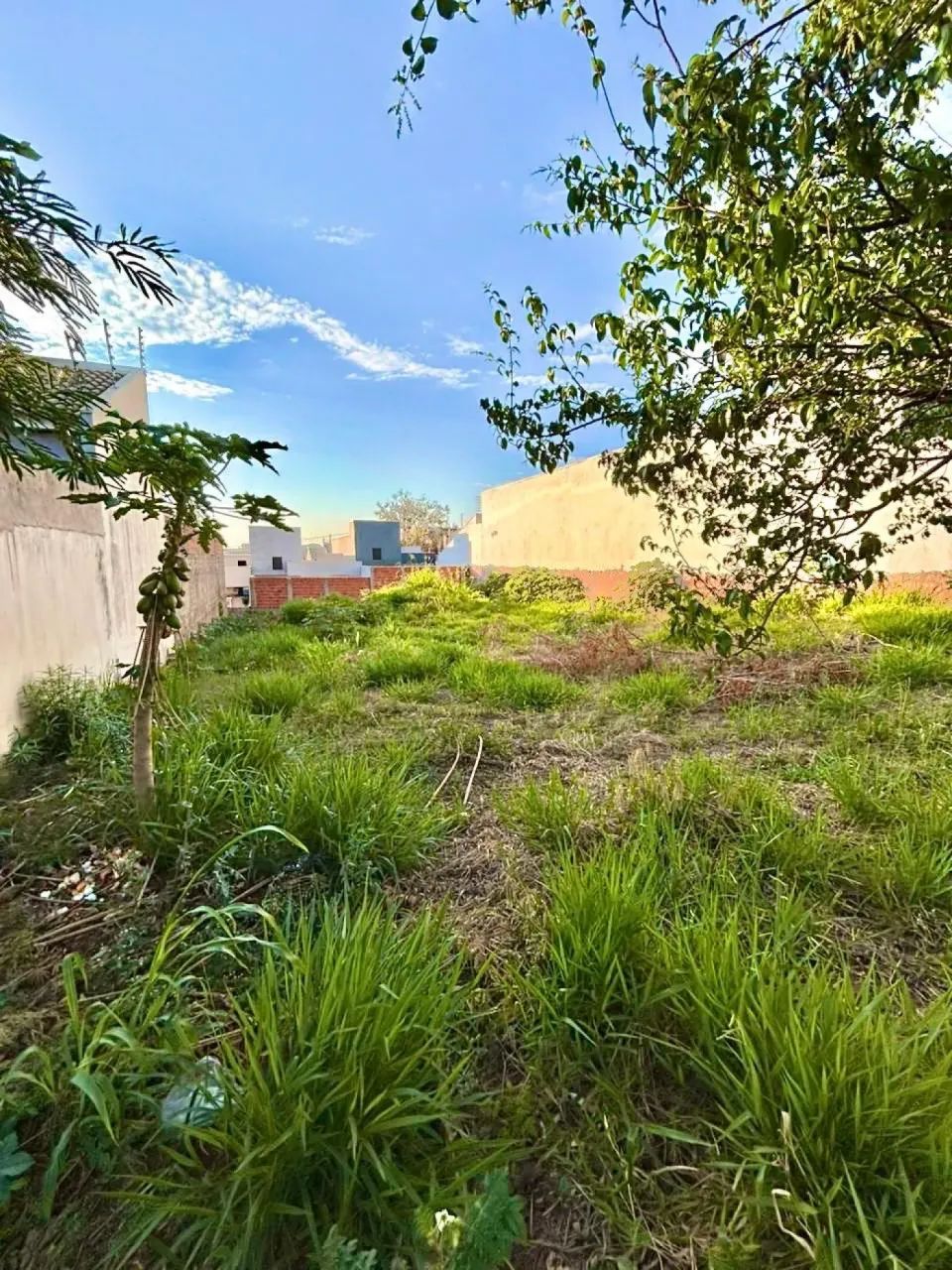 Terreno Padrão em Marialva - Foto 4