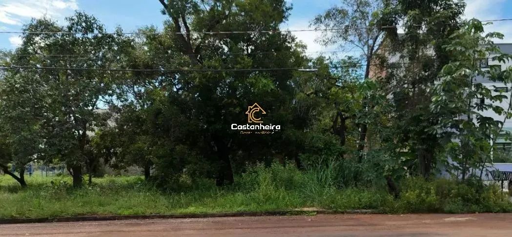 Lote Residencial - 495 m² - Plano Diretor Norte - Foto 2
