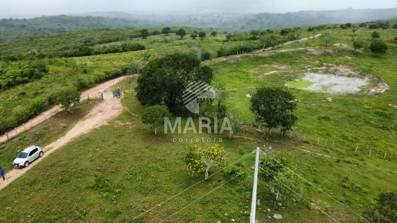 Área a venda com 14 Hectares em Gravatá/PE! - Foto 4