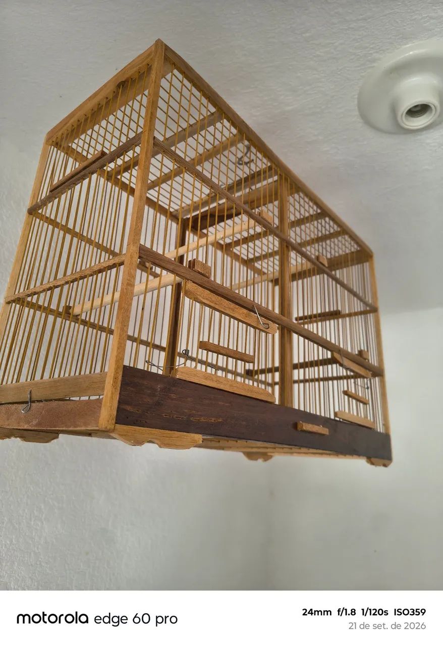 Cadeira e baiana padrão  - Foto 2