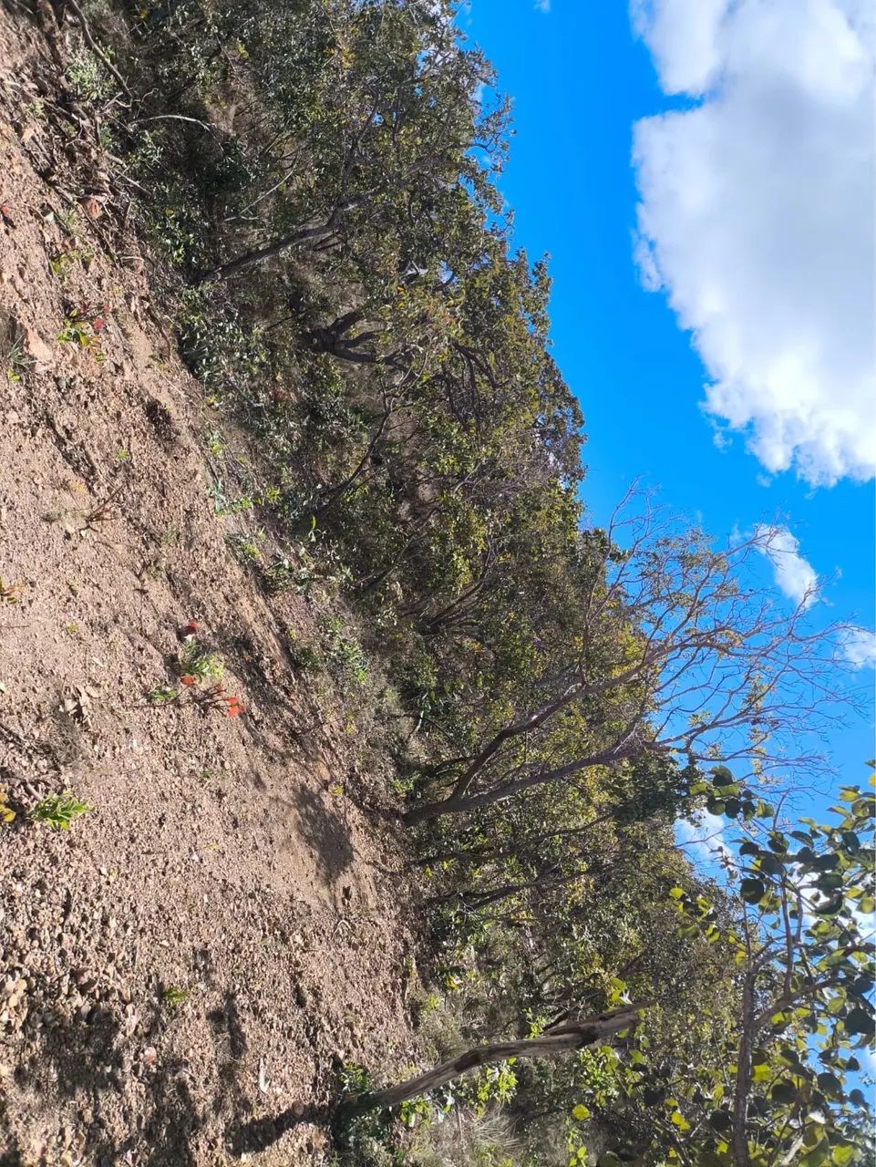 Lote 5000 metros em jaboticatubas  - Foto 3